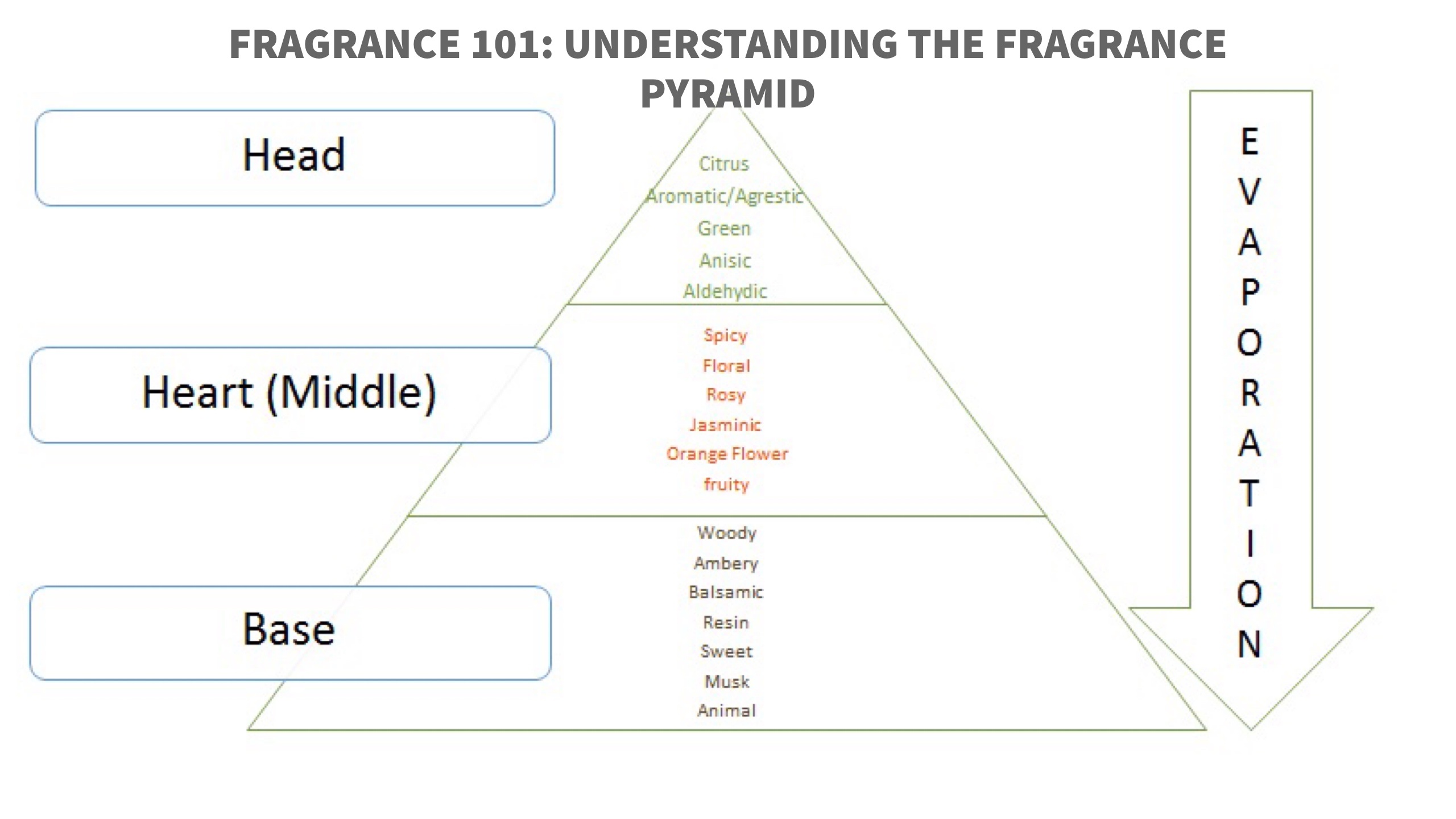 Fragrance 101 Understanding The Fragrance Pyramid